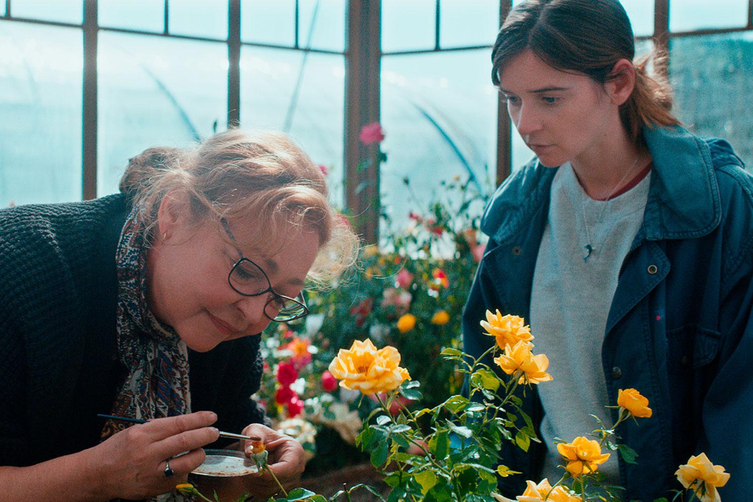 La signora delle rose: al cinema l’intrigante mondo dei designer di fiori – Video