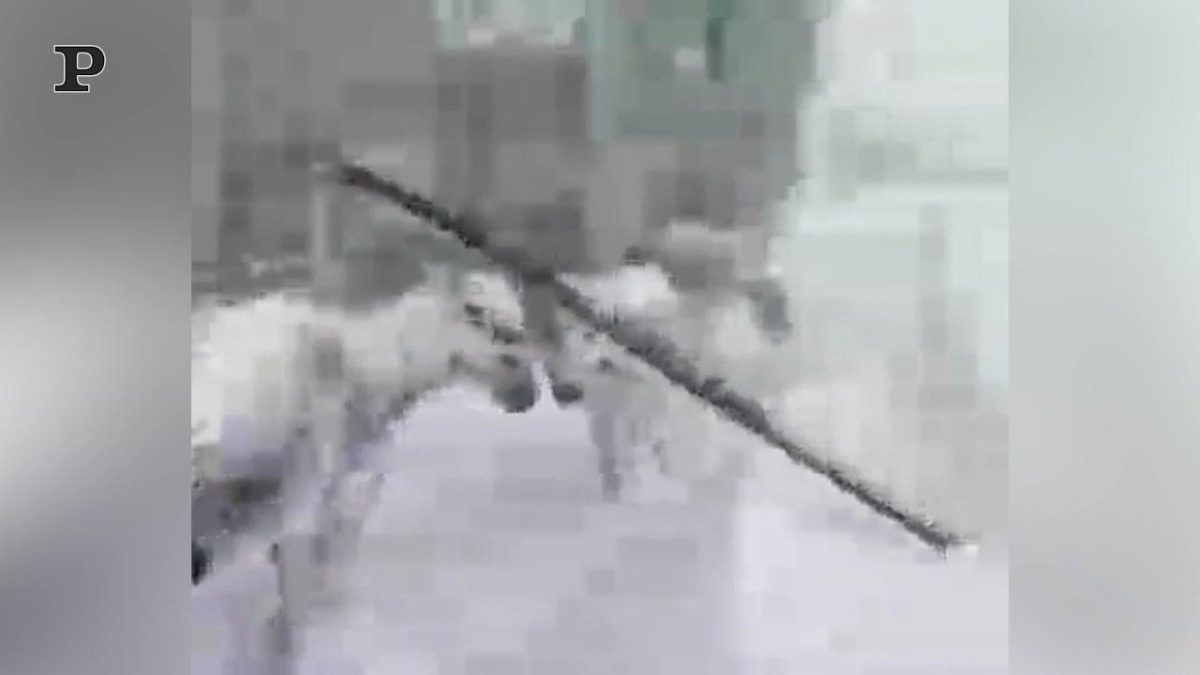 Galleria foto 'Bufera di neve ad Istanbul: crolla il tetto di un terminal dell’aeroporto | Video' - foto 2