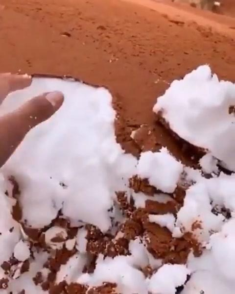 Bufera di neve in Turchia: animali congelati e persone in difficoltà | Video Bufera di neve in Turchia: animali congelati e persone in difficoltà | Video