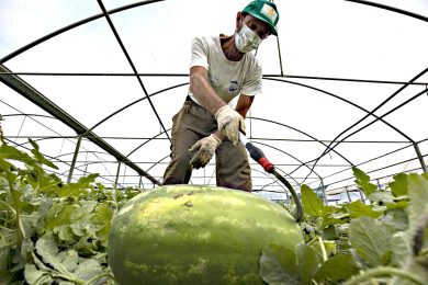 Gli affari dei trafficanti dopo gli sbarchi