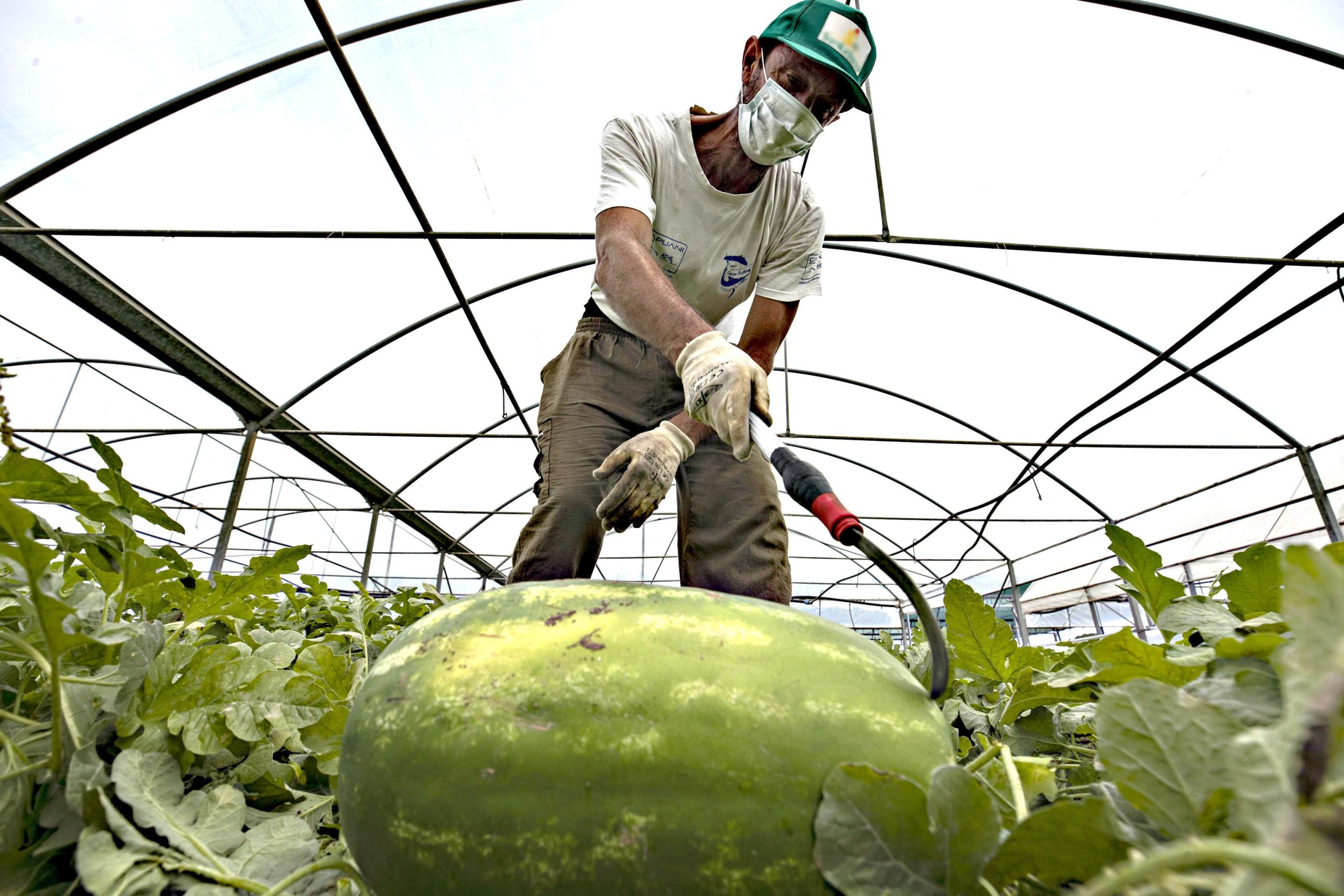 Gli affari dei trafficanti dopo gli sbarchi Gli affari dei trafficanti dopo gli sbarchi