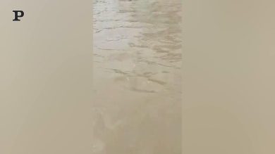 Indonesia, inondazioni colpiscono l’isola di Sumatra | Video