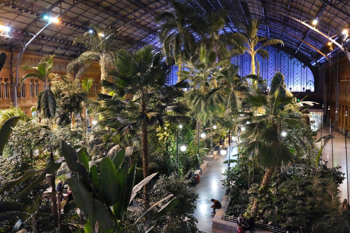 Galleria foto 'Madrid, cosa fare e vedere in due giorni' - foto 14