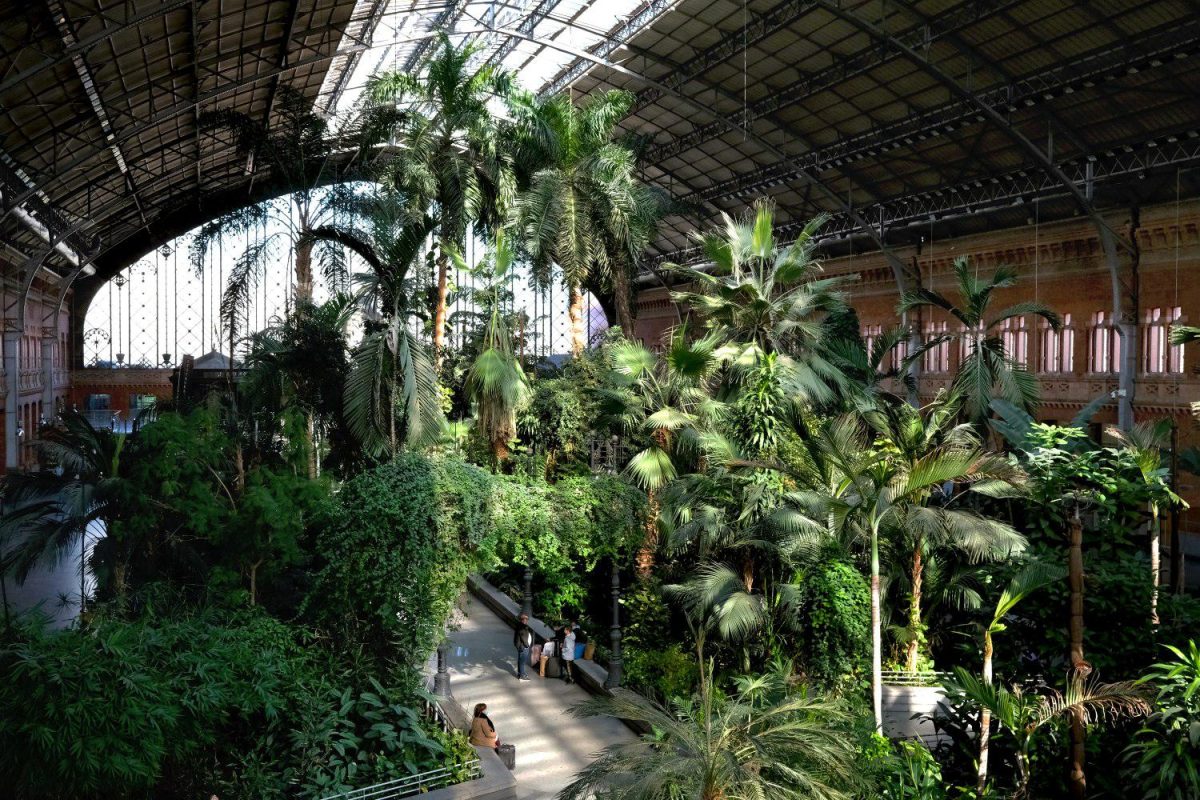 Galleria foto 'Madrid, cosa fare e vedere in due giorni' - foto 13