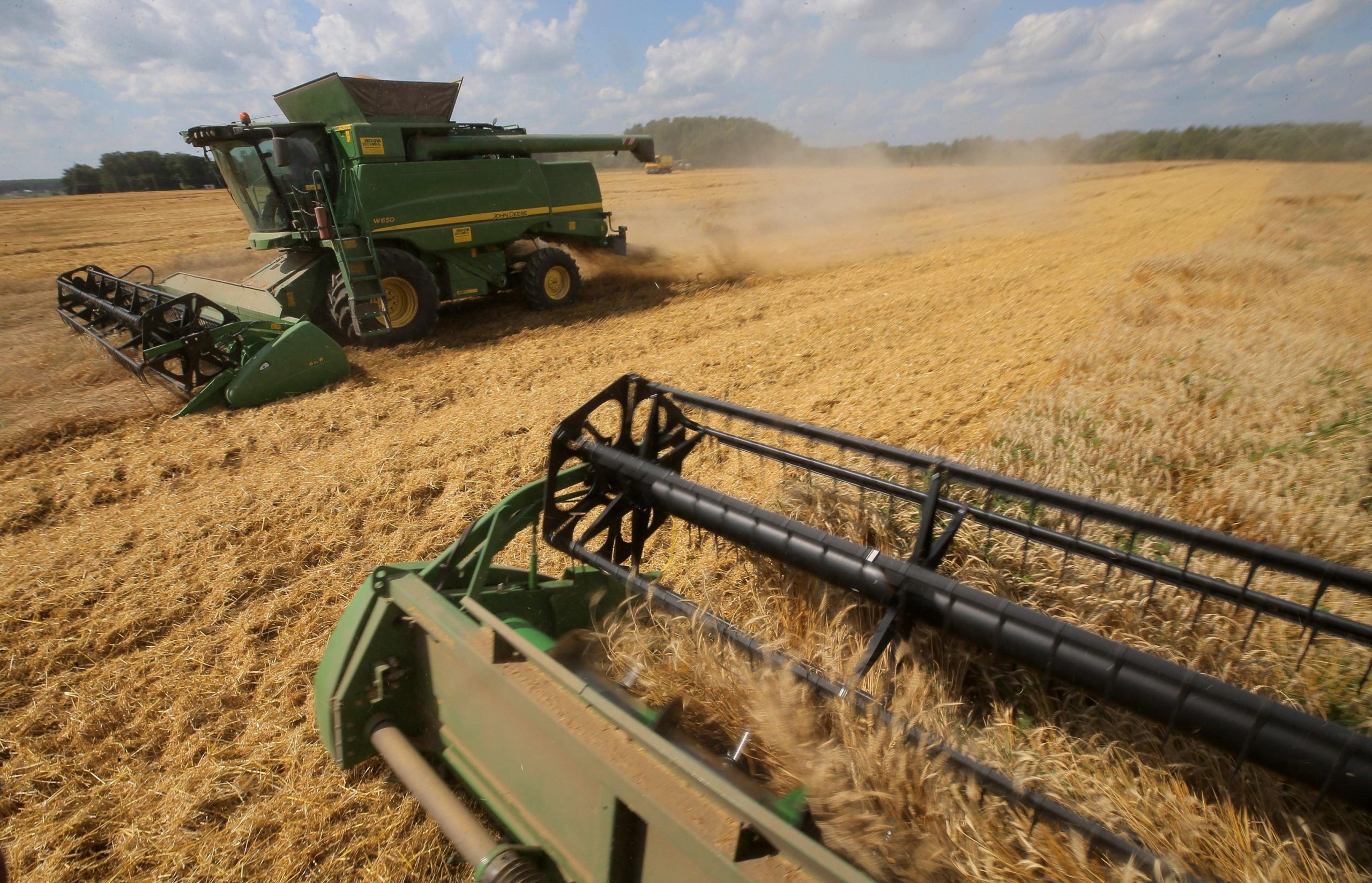 La crisi Ucraina-Russia è costata cara all’Italia; eventuali sanzioni sul grano sarebbero disastrose La crisi Ucraina-Russia è costata cara all’Italia; eventuali sanzioni sul grano sarebbero disastrose