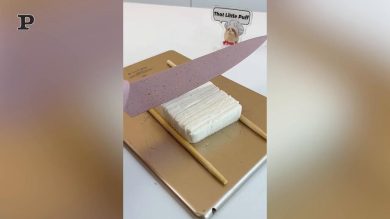 Gatto cuoco si diverte a preparare un delizioso manicaretto | Video