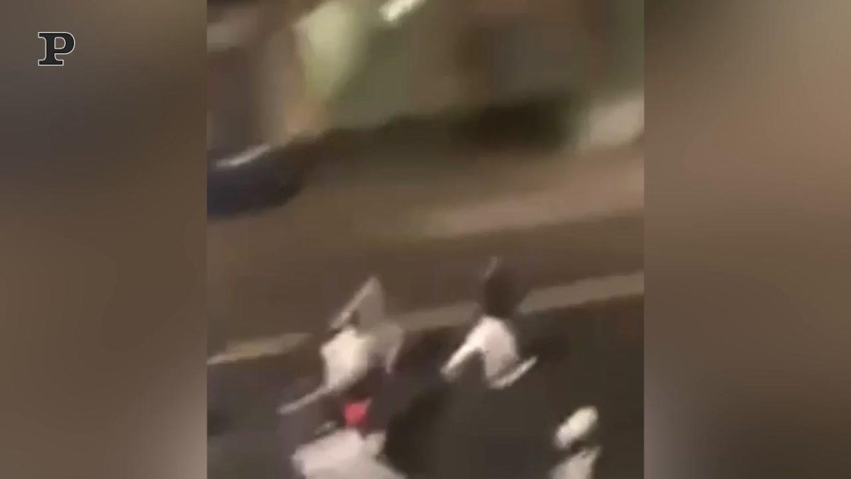 Galleria foto 'Torino, studenti tentano irruzione all’Unione Industriale: diversi feriti | Video' - foto 2