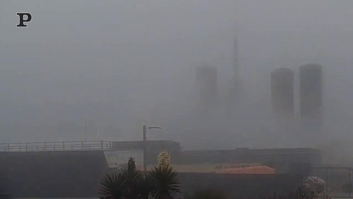 Galleria foto 'SpaceX, ecco l’animazione che mostra come l’uomo raggiungerà Marte | Video' - foto 3