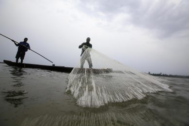 Con l’ambiente in Costituzione i partiti fanno un altro harakiri