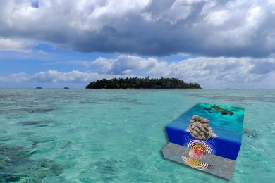 Tonga tornerà un paradiso?
