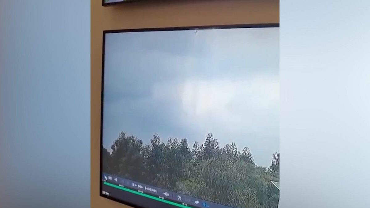 Galleria foto 'Aereo sbaglia la manovra sulla pista e colpisce un palo | Video' - foto 2