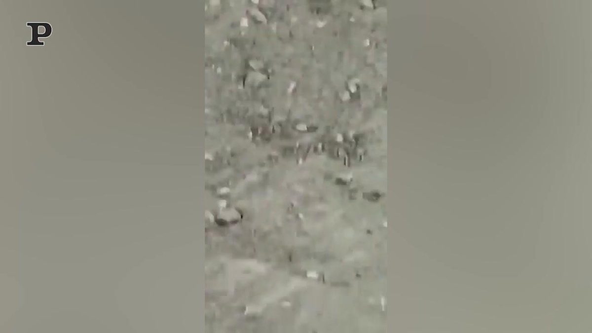 Galleria foto 'Aereo sbaglia la manovra sulla pista e colpisce un palo | Video' - foto 4