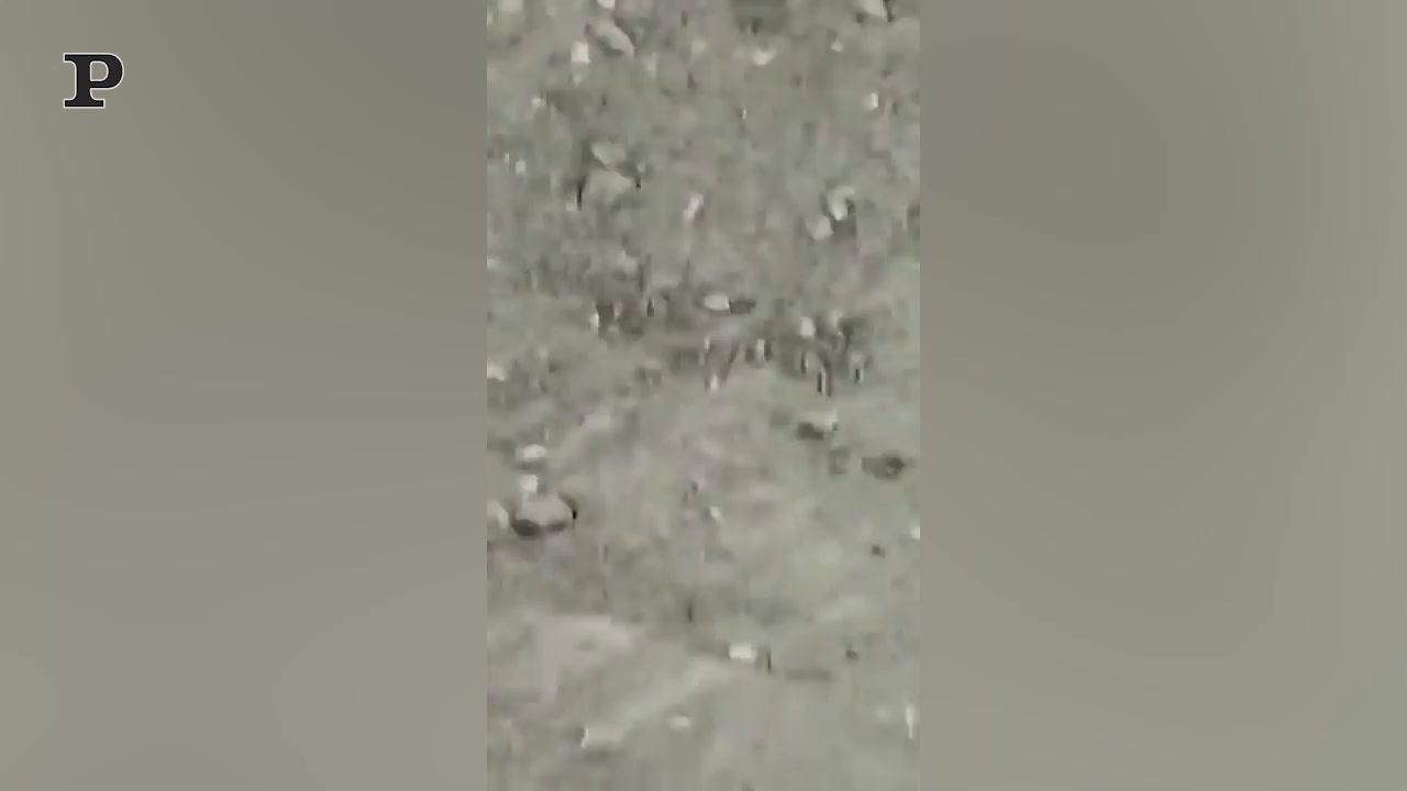 Aereo sbaglia la manovra sulla pista e colpisce un palo | Video