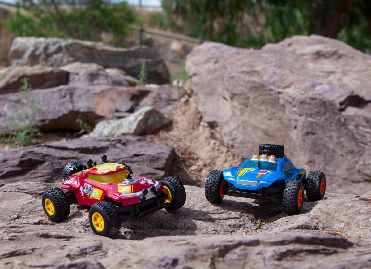 Galleria foto 'Pronti per la Pasqua' - foto 12