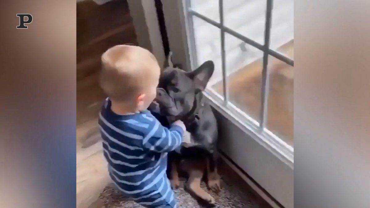 Galleria foto 'Bambino premuroso legge una favola della buonanotte al suo gatto | Video' - foto 2