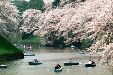 DONNA MODERNA LANCIA LA GREEN R-EVOLUTION CON UN NUMERO SPECIALE DEDICATO ALLE TRE R: RIDUCI, RIUSA, RICICLA