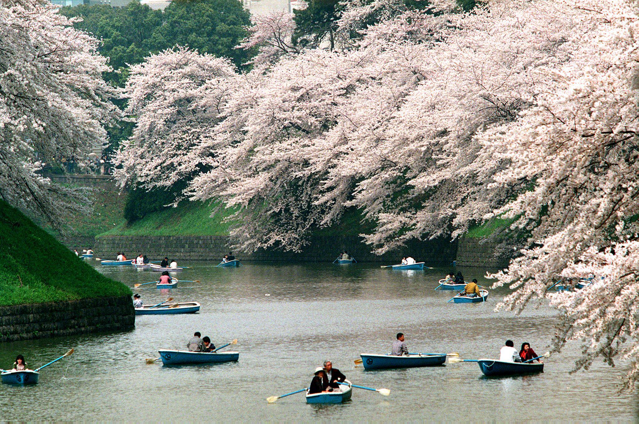 DONNA MODERNA LANCIA LA GREEN R-EVOLUTION CON UN NUMERO SPECIALE DEDICATO ALLE TRE R: RIDUCI, RIUSA, RICICLA DONNA MODERNA LANCIA LA GREEN R-EVOLUTION CON UN NUMERO SPECIALE DEDICATO ALLE TRE R: RIDUCI, RIUSA, RICICLA