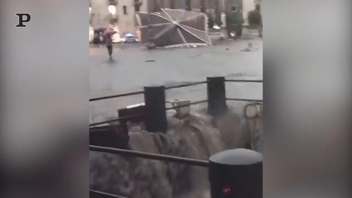 Galleria foto 'Tornado devasta New Orleans: 18mila case senza corrente | Video' - foto 4