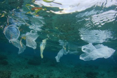 Ecco il batterio «mangia plastica»