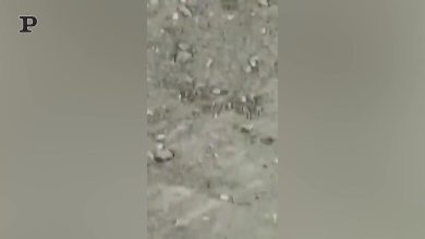 Aereo russo abbattuto: le immagini della caduta | Video