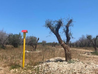 Tap, tanto rumore per nulla