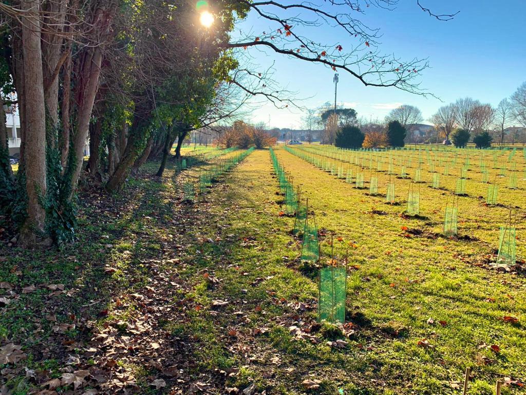 L’idrogeno decolla in aeroporto