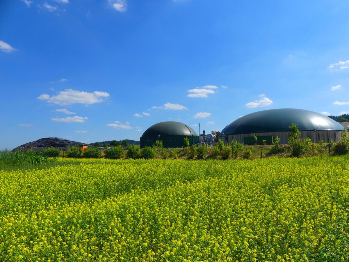 Galleria foto 'L’idrogeno decolla in aeroporto' - foto 3