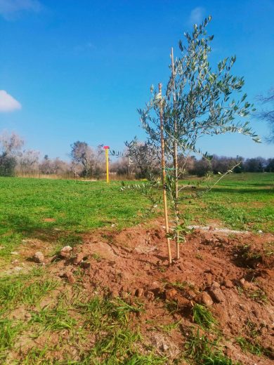 Il sindaco di Melendugno: «Continuo a dire no al Tap»