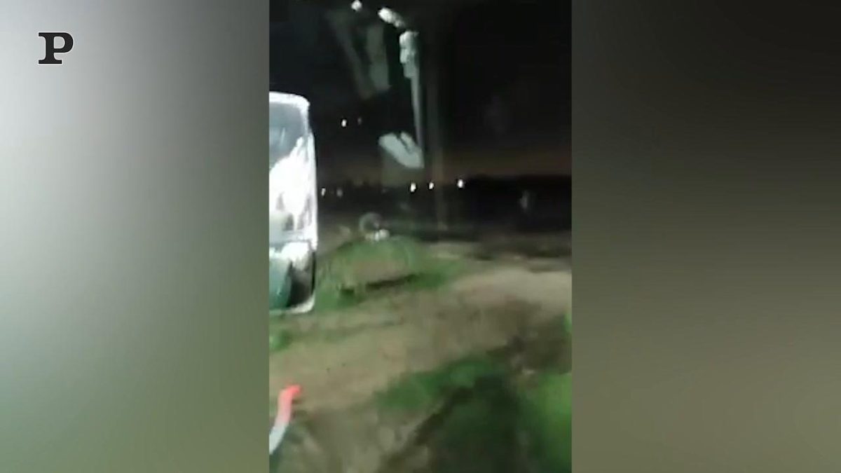 Galleria foto 'Roma, carabiniere alle prese con un roditore | Video' - foto 2