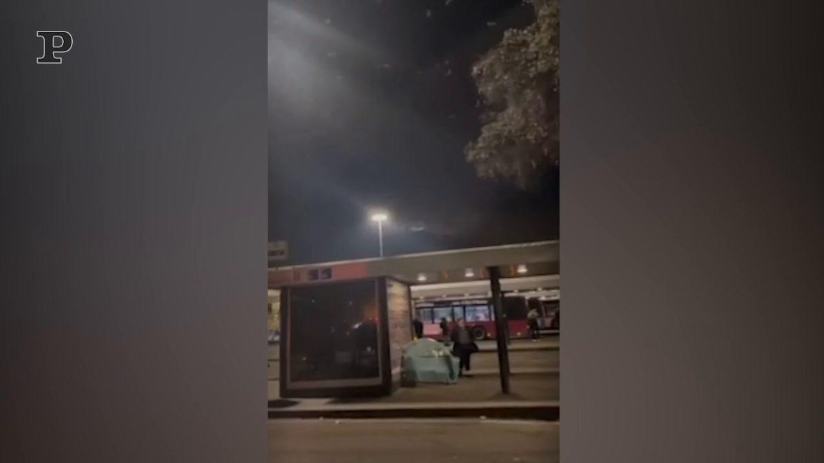 Galleria foto 'Roma, carabiniere alle prese con un roditore | Video' - foto 3