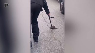 Roma, carabiniere alle prese con un roditore | Video