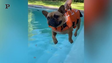 A lezione di nuoto | Video