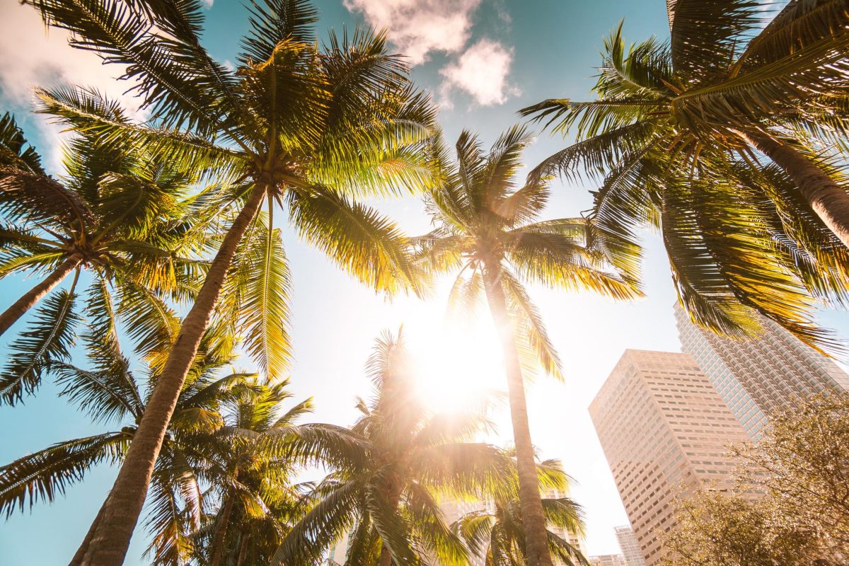 Galleria foto 'Il giro del mondo in 10 candele Diptyque' - foto 8