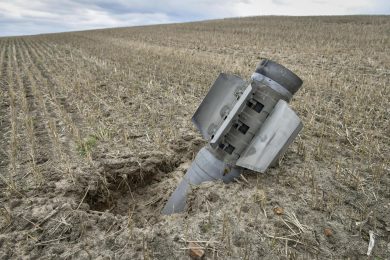 La battaglia del grano