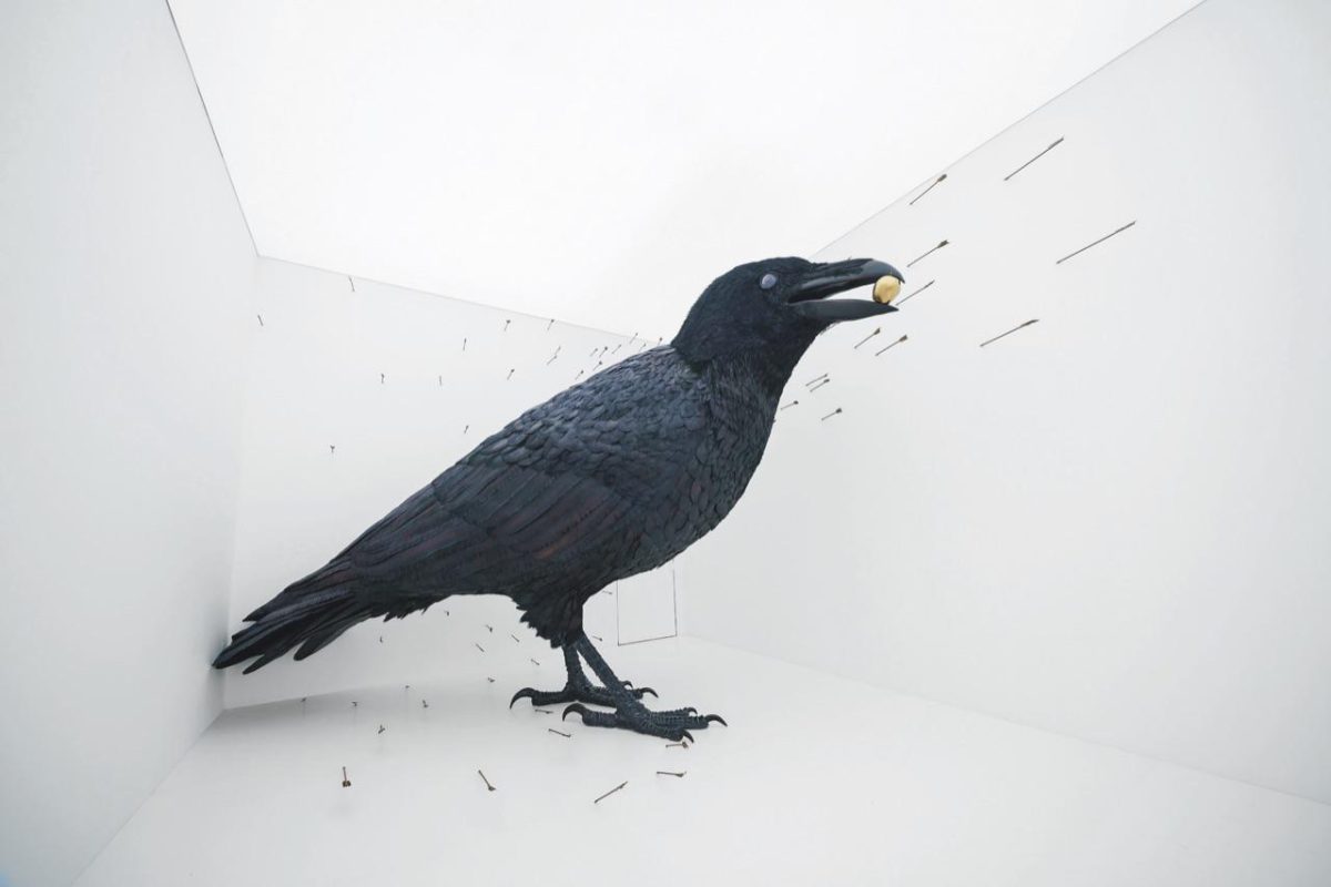 Galleria foto 'Anticipazioni dalla Biennale d’arte di Venezia' - foto 3