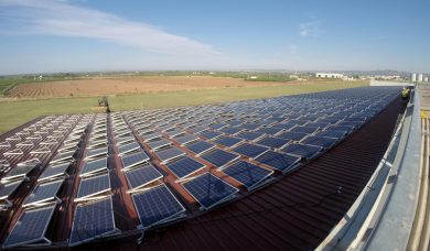 I freni assurdi contro l’agrivoltaico in Italia