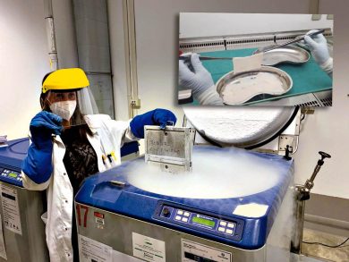 Nella fabbrica della pelle