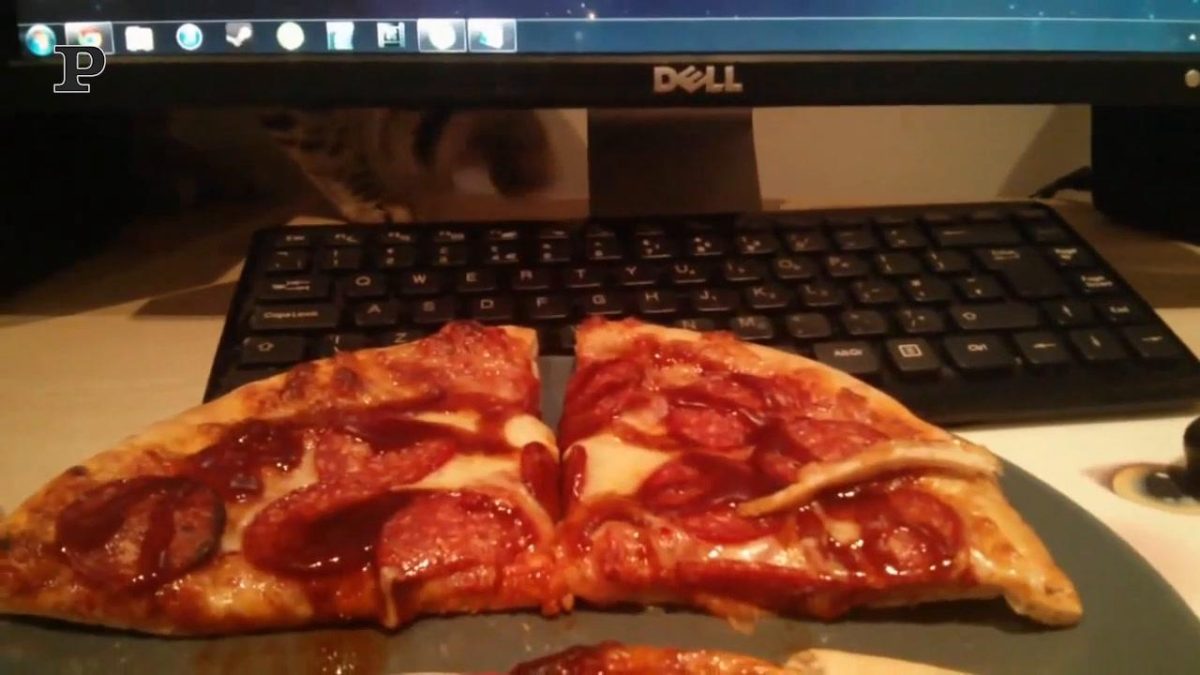 Galleria foto 'Gatto trapezista si attacca al lampadario | Video' - foto 3