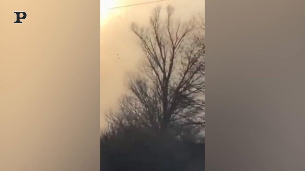 Galleria foto 'Costa Rica, aereo cargo si spezza in due sulla pista di atterraggio | Video' - foto 2