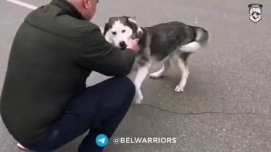 Ucraina, l’incontro tra un cane ed il padrone di ritorno dalla guerra | Video