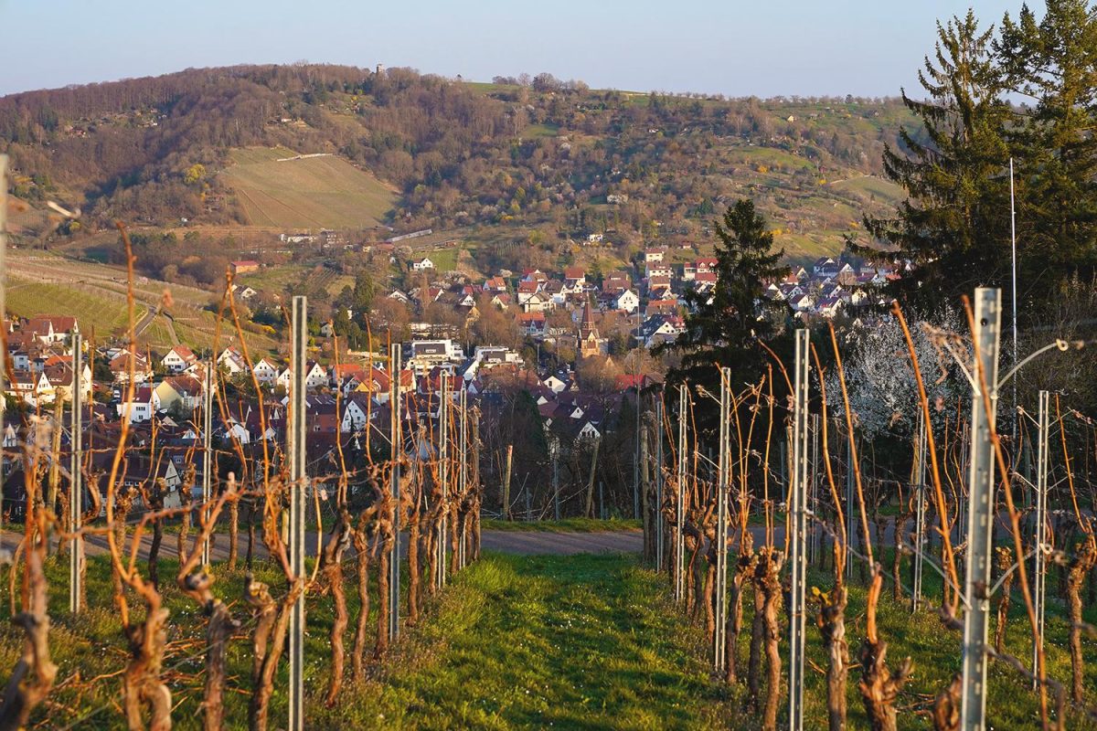 Stoccarda, cosa fare e vedere in due giorni