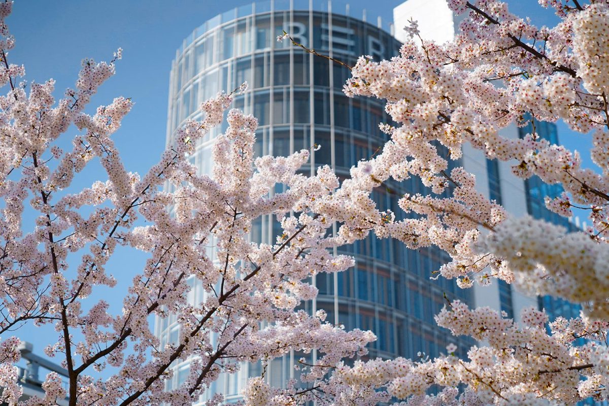 Stoccarda, cosa fare e vedere in due giorni