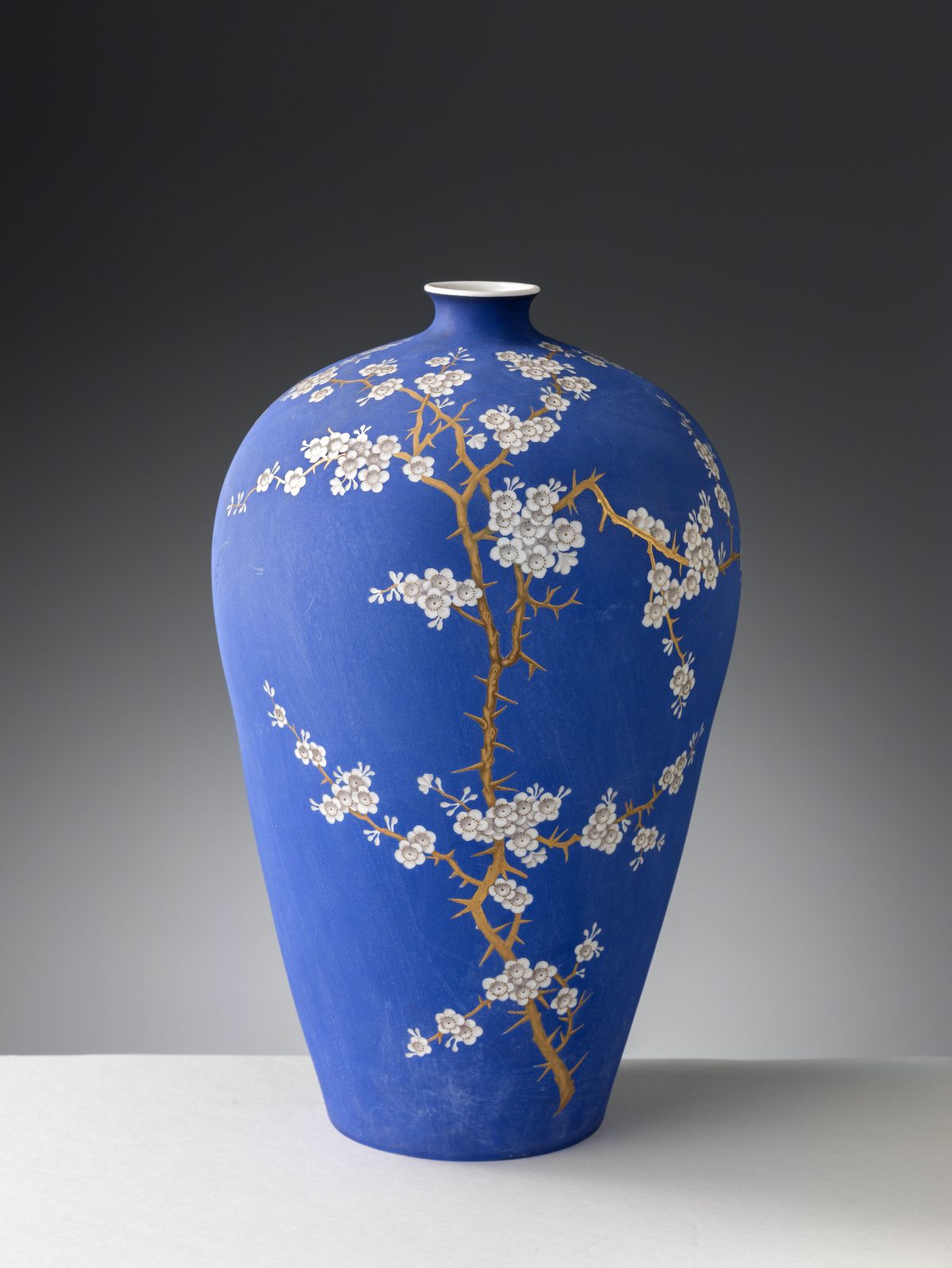 Galleria foto 'Alla scoperta del Museo Ginori' - foto 4