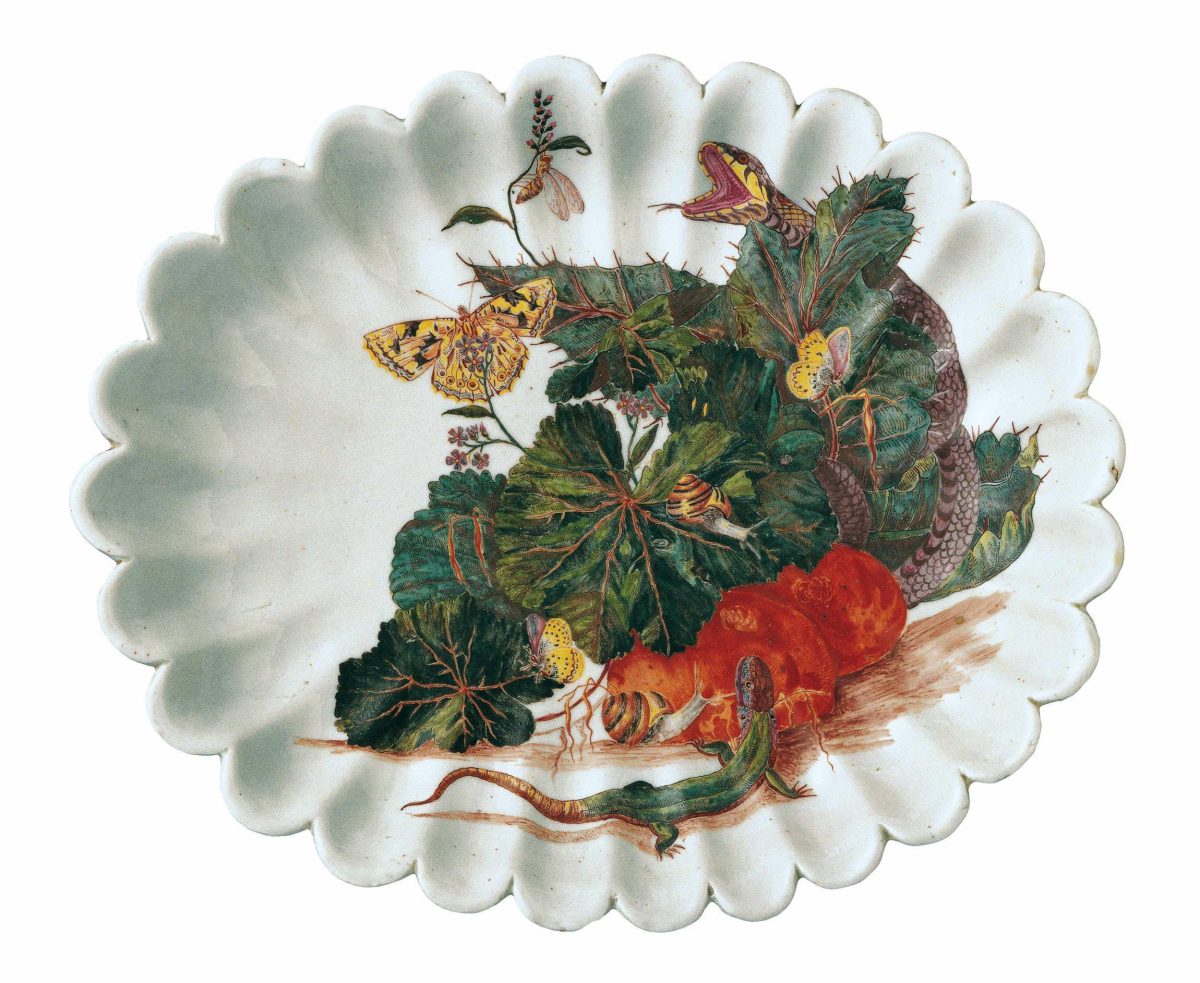 Galleria foto 'Alla scoperta del Museo Ginori' - foto 2