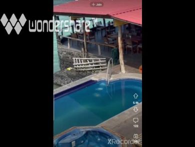 La foca tra piscina e sdraio, come un’umana | video