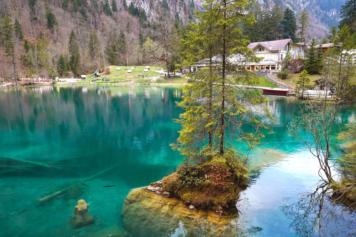 Galleria foto 'A bordo del Trenino verde delle Alpi' - foto 15