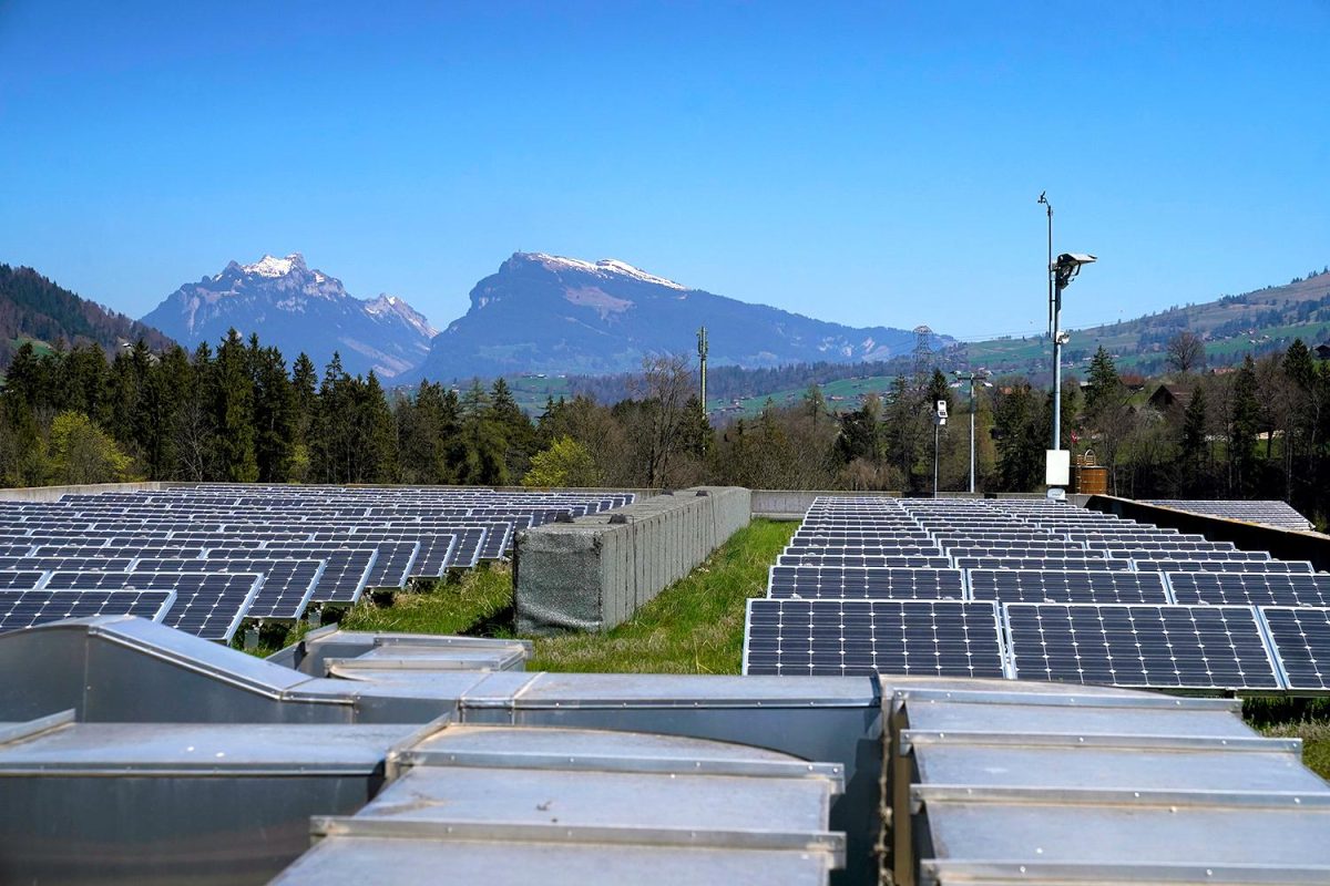 Galleria foto 'A bordo del Trenino verde delle Alpi' - foto 9