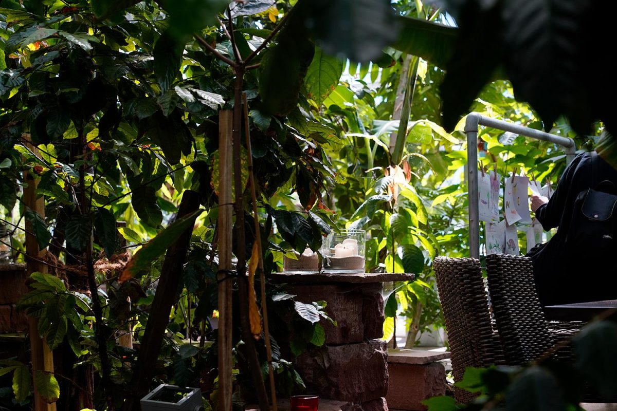 Galleria foto 'A bordo del Trenino verde delle Alpi' - foto 8