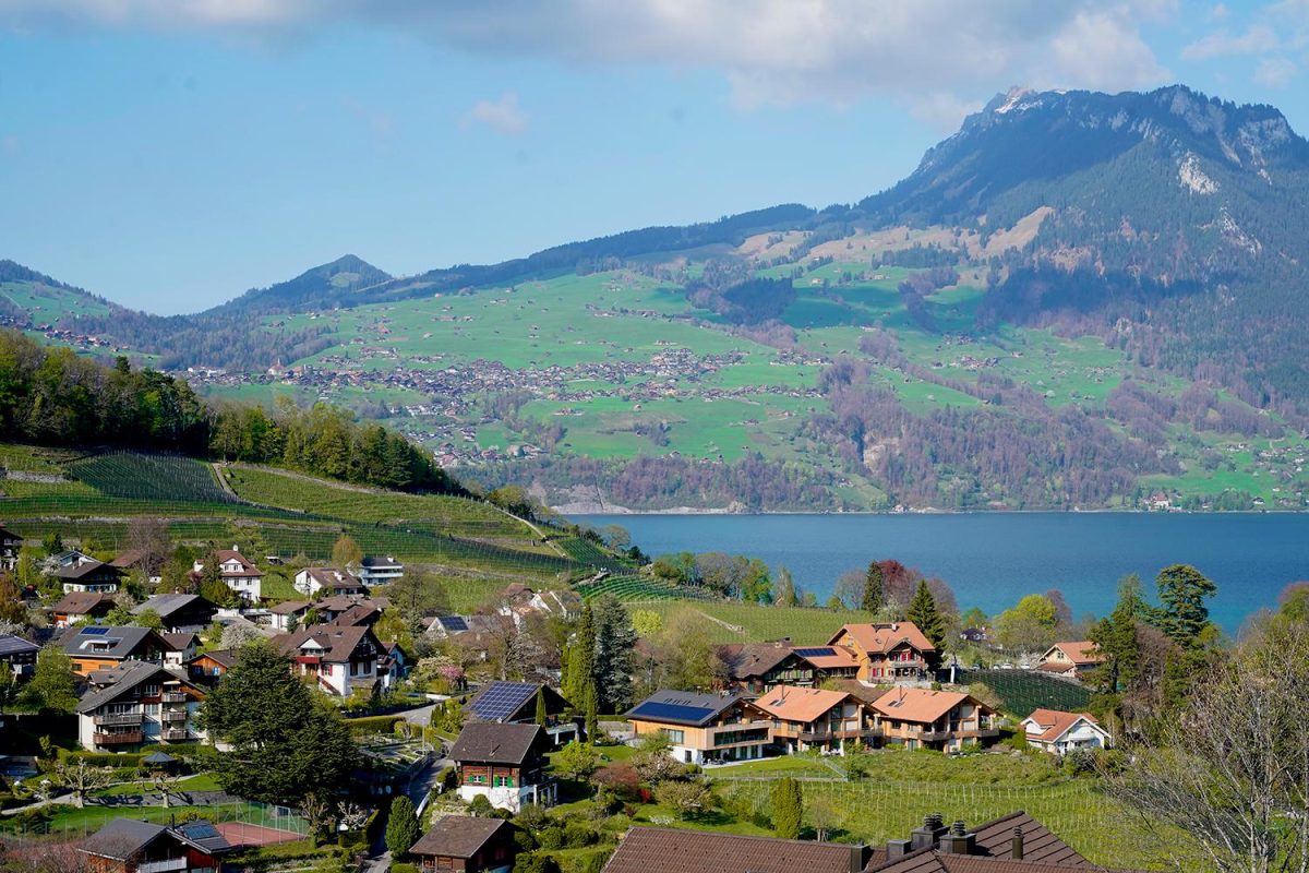 Galleria foto 'A bordo del Trenino verde delle Alpi' - foto 6