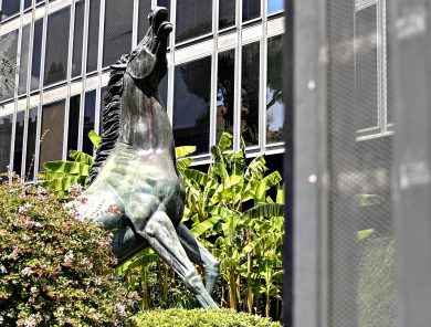 Stalking, mobbing e flatulenze: il nuovo caso che agita la Rai